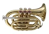 Produkt-Bild: Stagg 77-MT in B Taschentrompete