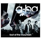 Foot Of The Mountain