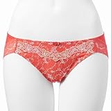 gviTriumphj WF[i\tF[W@604V[Y@nCLjV[cj fBX