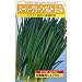 香りが強く食味が抜群!スーパーグリーンベルト(武蔵野) 数量:6ml