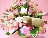 �y���{���l�b�g�z�A���}�h�b�O�t�t�����[�A�����W�����g�i���x���_�[�̍���jFL-AR-30