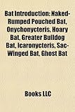 Bat Introduction: Naked-Rumped Pouched Bat, Onychonycteris, Hoary Bat, Greater Bulldog Bat, Icaronycteris, Sac-Winged Bat, Ghost Bat-
