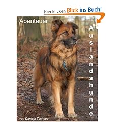 Abenteuer Auslandshunde
