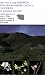 Books : The Vascular Plants of Western Riverside County, California: An Annotated Checklist