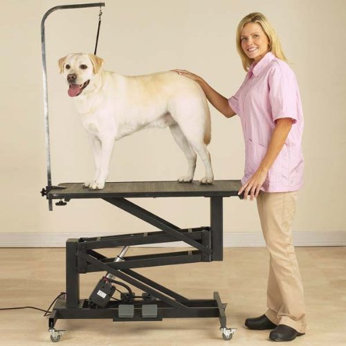 Me Z-Style Electric Grooming Table Black S