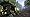 Fable Ii Image #8 Fable Ii Image #8