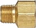 Anderson Metals Brass Pipe Fitting, Adapter, 1/8