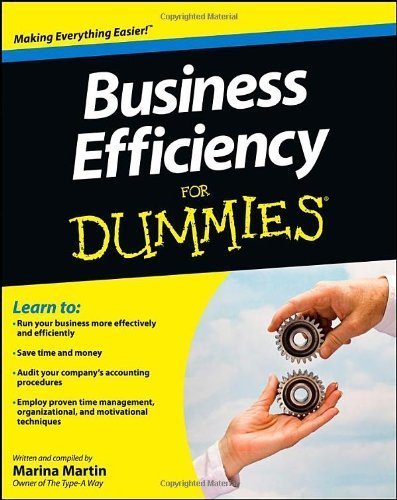 Business Efficiency For Dummies by Marina Martin (2013-01-18)