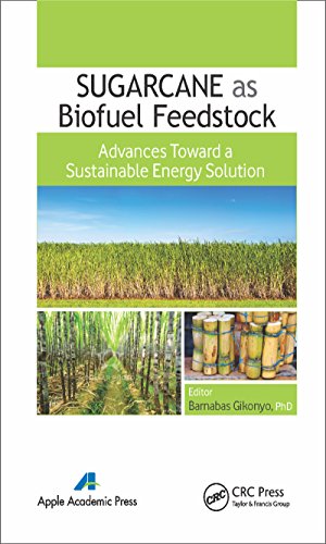 Sugarcane as Biofuel Feedstock: Advances Toward a Sustainable Energy Solution