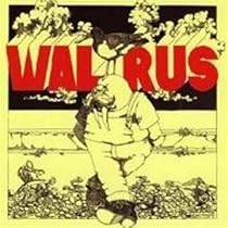 Walrus
