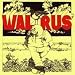 Walrus