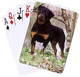 Dog Breed Cards Rottweiler