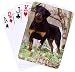   - Dog Breed Cards Rottweiler