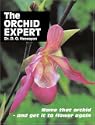 The Orchid