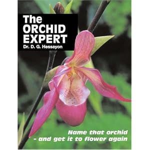 The Orchid Expert
