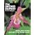 The Orchid Expert