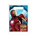 Search : Iron Man 2 Goody Bag