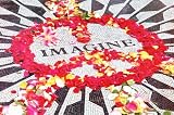 Imagine Photography Poster Print, 36x24