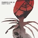 FABRICLIVE34: Krafty Kuts