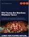 www.norden44.de