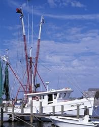 Carolina Shrimp Boat - 16"x20" - Fine-Art Gicl??e Photographic Print by Carol M. Highsmith
