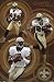 New Orleans Saints (Deuce McAllister) White Wood-Mounted NFL Poster