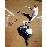 Ozzie Smith St. Louis Cardinals - Bunt - Autographed 8x10 Photograph