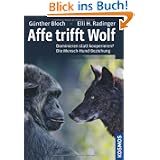 Produkt-Information