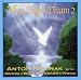 When Angels Dream, Vol. 2