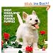 West Highland White Terrier Puppies 2013 - Westy-Welpen - Original BrownTrout-Kalender