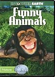 Funny Animals