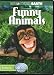 Funny Animals Funny Animals