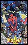 The Spectacular Spider-Man Poster Movie 11x17