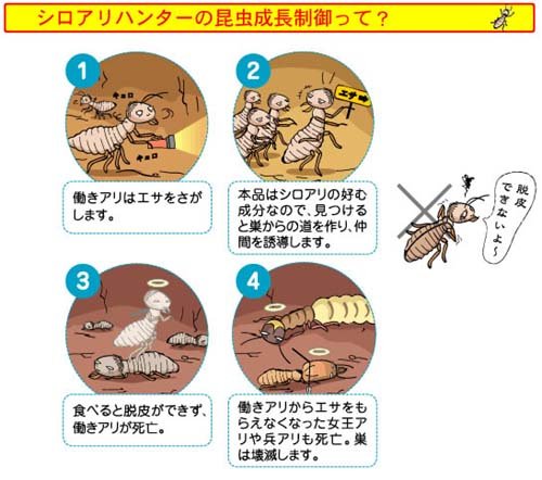 シロアリハンター 6個入33847