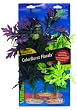 Vibran-Sea Amazon Broad Leaf Flowering Cluster Assortment