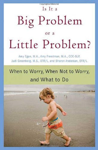 Is It a Big Problem or a Little Problem?: When to Worry, When Not to Worry, and What to Do [Paperback] [2007] (Author) Amy Egan, Amy Freedman, Judi Greenberg, Sharon Anderson