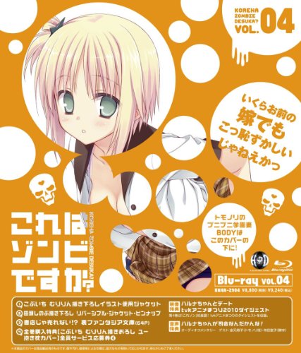 これはゾンビですか？第4巻 [Blu-ray]