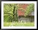 Spring Blossoms and Alpine House, Spodnja Trenta, Gorenjska, Slovenia Framed Art Poster Print by Walter Bibikow, 49x39
