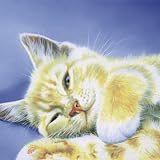 Serviette chat
