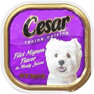 Cesar Canine Cuisine, Filet Mignon, 3.5 oz (Pack of 24)