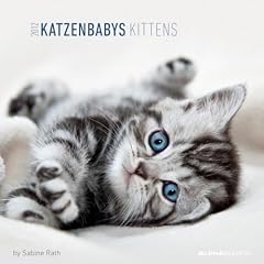 Katzenbabys 2012. Brosch�renkalender 30 x 30 cm