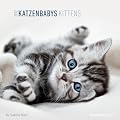 Katzenbabys 2012. Brosch�renkalender 30 x 30 cm