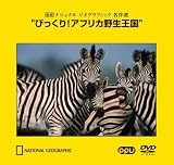 �Ӥä���!���եꥫ�������� ~���� �ʥ���ʥ� ��������ե��å� ̾����~(PPV-DVD)