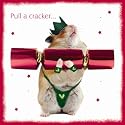 Christmas Cracker Hamster Christmas Cards Pack