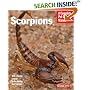 Scorpions (Complete Pet Owner's Manual)