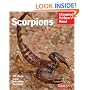 Scorpions (Complete Pet Owner's Manual)