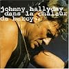Johnny hallyday dans la chaleur de Bercy (Bercy 90)