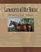 Lameness of the Horse (Volume 1)