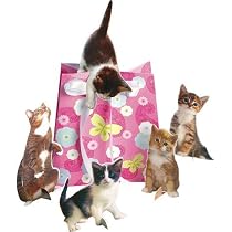 Purrfect Party 14in Centerpiece