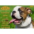Metall - Warnschild Englische Bulldogge, English Bulldog
